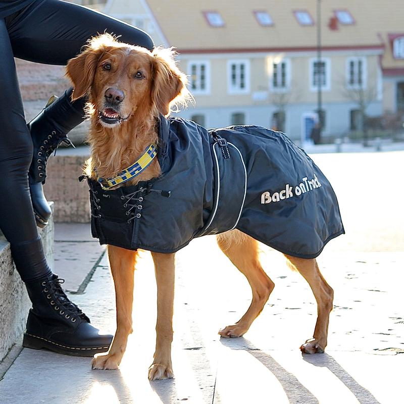 Back on Track Standard ocieplana kurtka dla psa 24h , produkty  terapeutyczne, derki, pies, WYSYŁKA 24H, produkty terapeutyczne, ubranka  dla psa, PIES, stajnia, Kategoria główna - horseway.pl